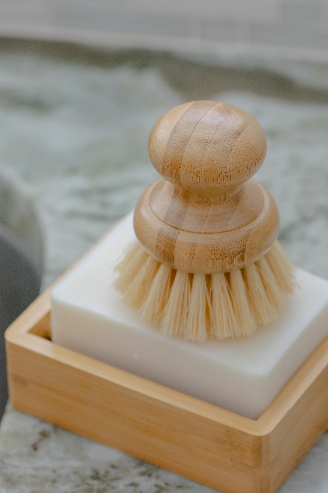 CASA AGAVE® Dish Brush - No Tox Life® - Image 4