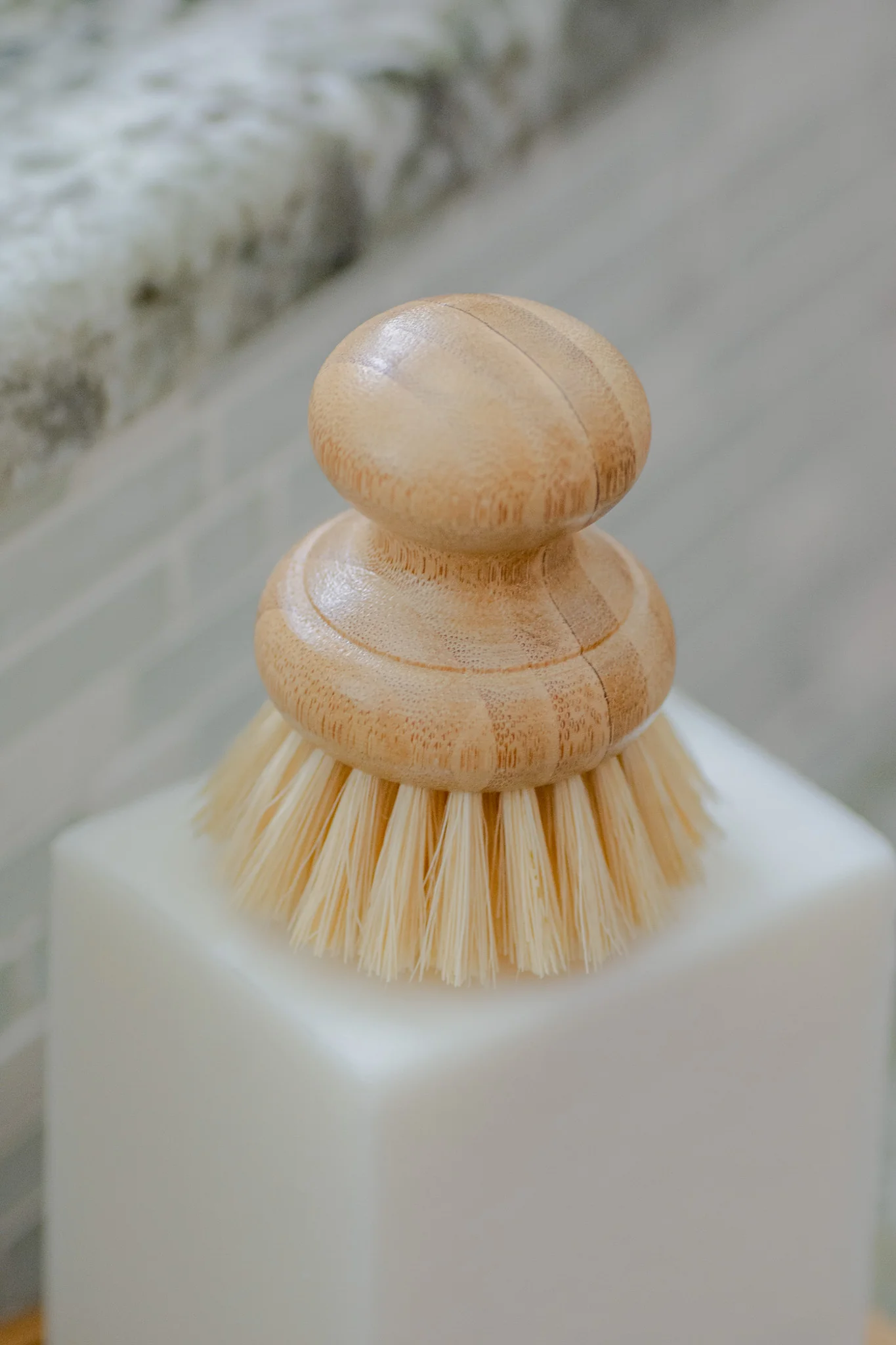 CASA AGAVE® Dish Brush - No Tox Life® - Image 5