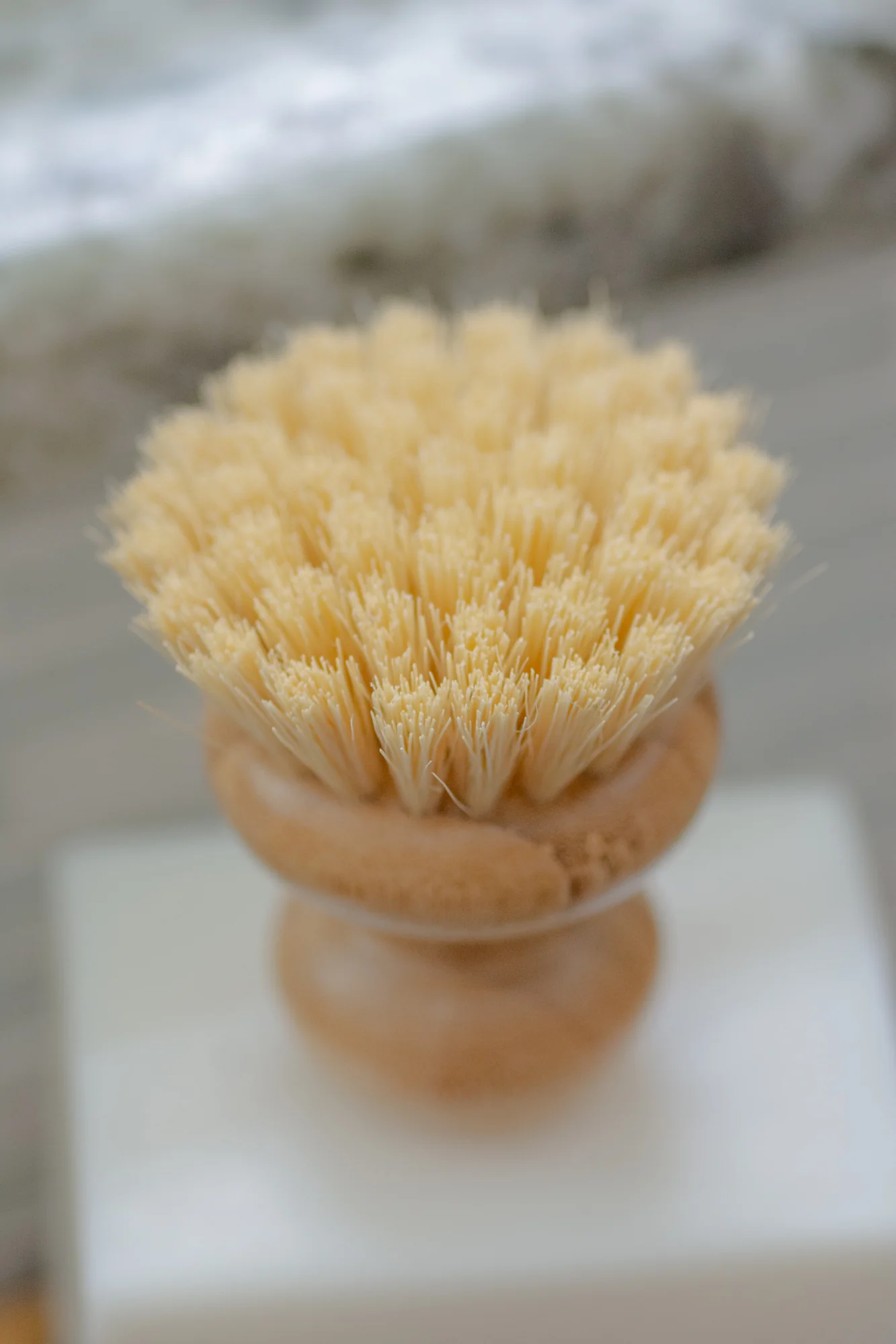 CASA AGAVE® Dish Brush - No Tox Life® - Image 8