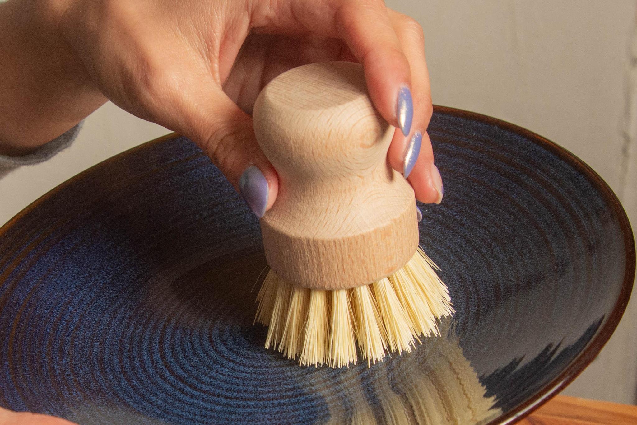 CASA AGAVE® Dish Brush White Teakwood - No Tox Life® - Image 3