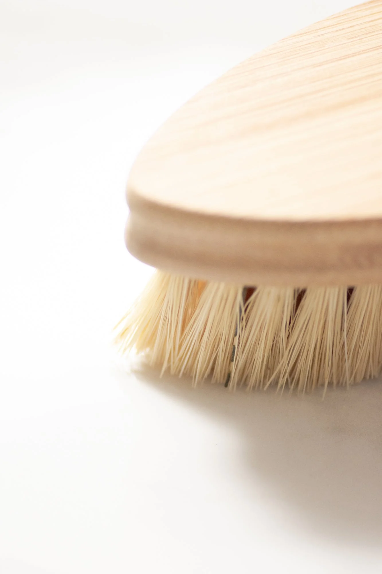 CASA AGAVE® Duo Tone Vegetable Brush | General Cleaning - No Tox Life® - Image 4