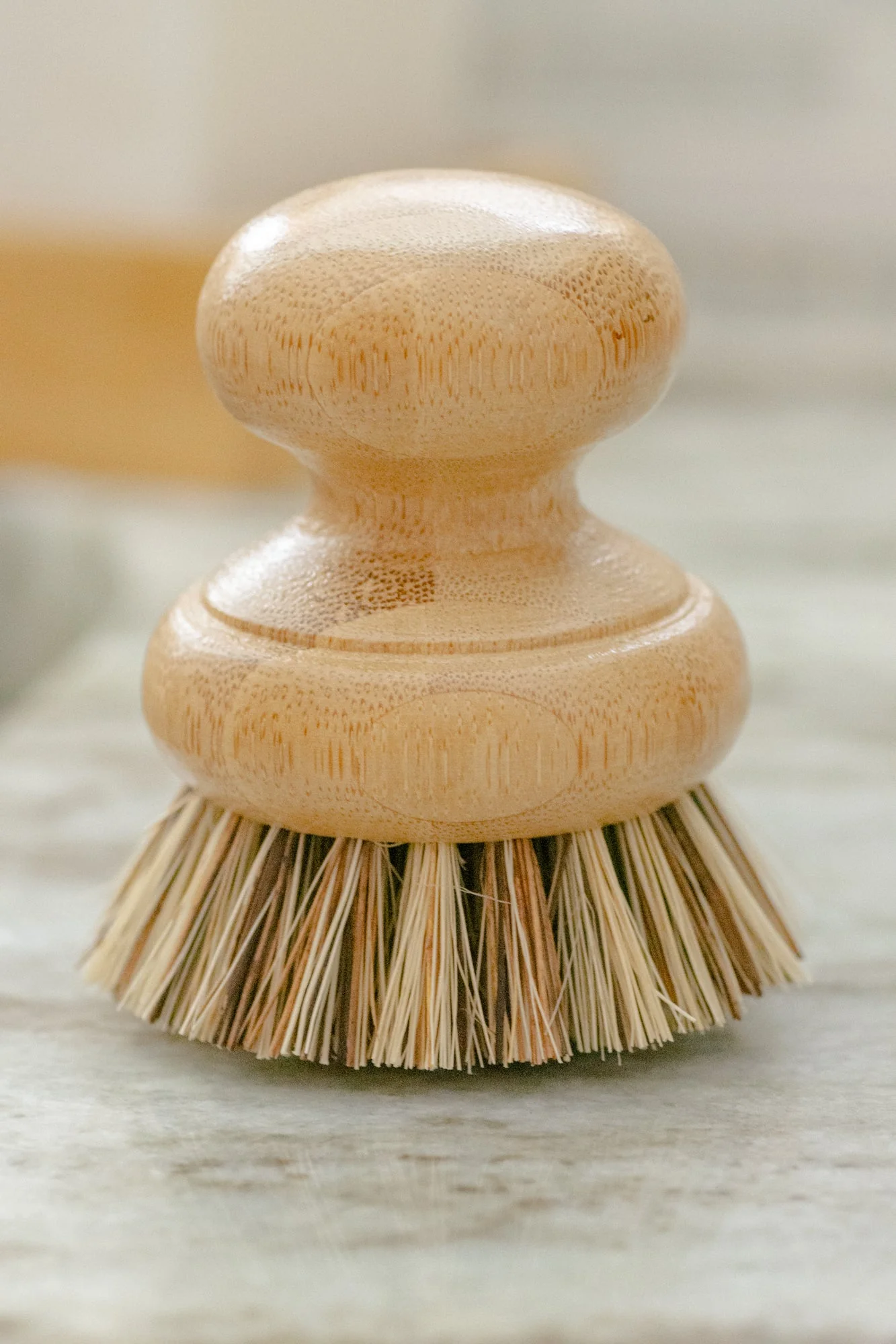 CASA AGAVE® Pot Brush - No Tox Life® - Image 5