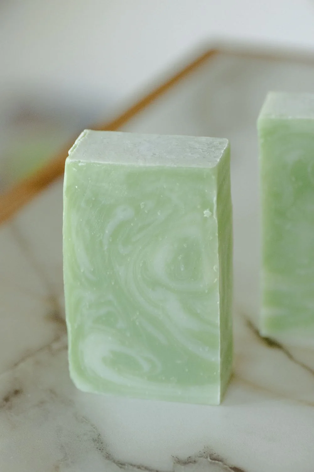 Moisturizing Vegan Body Wash - Aloe & Coconut Milk - No Tox Life®