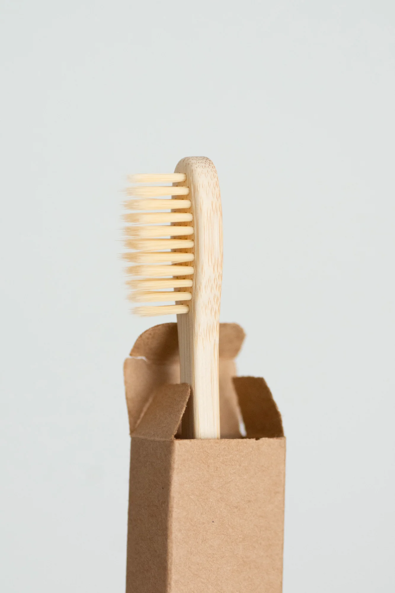 Moso Bamboo Toothbrush - Family Size - 10 Pack - No Tox Life®